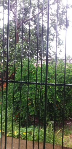 Três Marias - your home