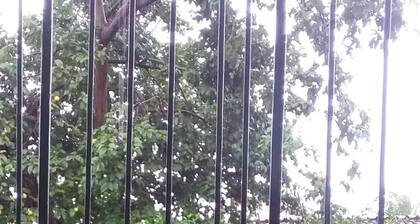 TrĂȘs Marias - your home