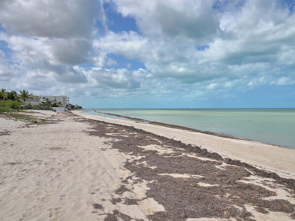 A beach with a clear view of the ocean and a building in the background. - Casa Macabi - Yucatan Home Rentals (Chicxulub Puerto)