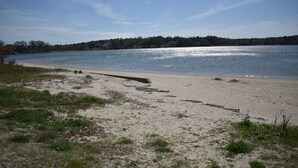Una playa arenosa con un camino de hormigón que conduce al agua, rodeada de vegetación escasa y una costa distante con casas.