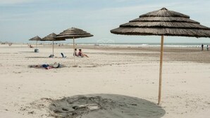 Una playa con sombrillas de paja y una orilla arenosa.
