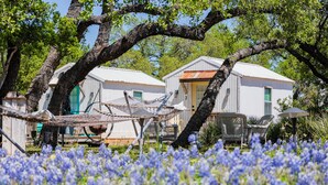 Een rustieke houten hut met een hangmat en zitplaatsen buiten, omringd door een veld met blauwe bloemen.