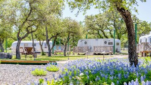 Een camping met campers, picknicktafels en een veld met blauwe bloemen.