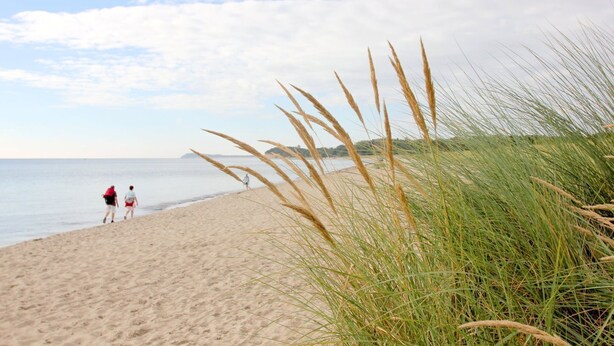 A beach with sand, grass, and a person walking. - Vacation apartment with sea view and garden use - Haus Inselwind FeWo MEERduft - (Gager)