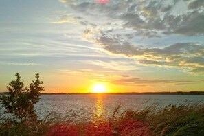 Uklassifisert bilde, 3 av 19, knapp