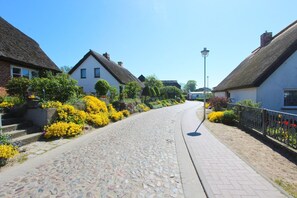 A cobblestone street lined with traditional houses, a clear sky, and a well-maintained flower bed.