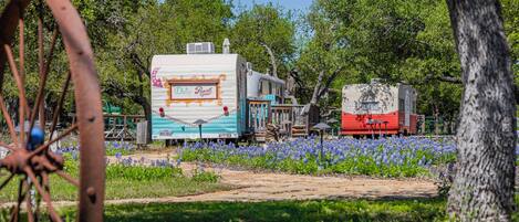 A vintage RV with a 'Daisy Pearl' sign parked among blooming flowers.