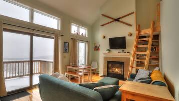 Télévision, cheminée, livres, chaßne hi-fi