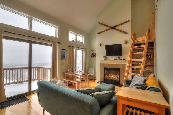 Télévision, cheminée, livres, chaîne hi-fi