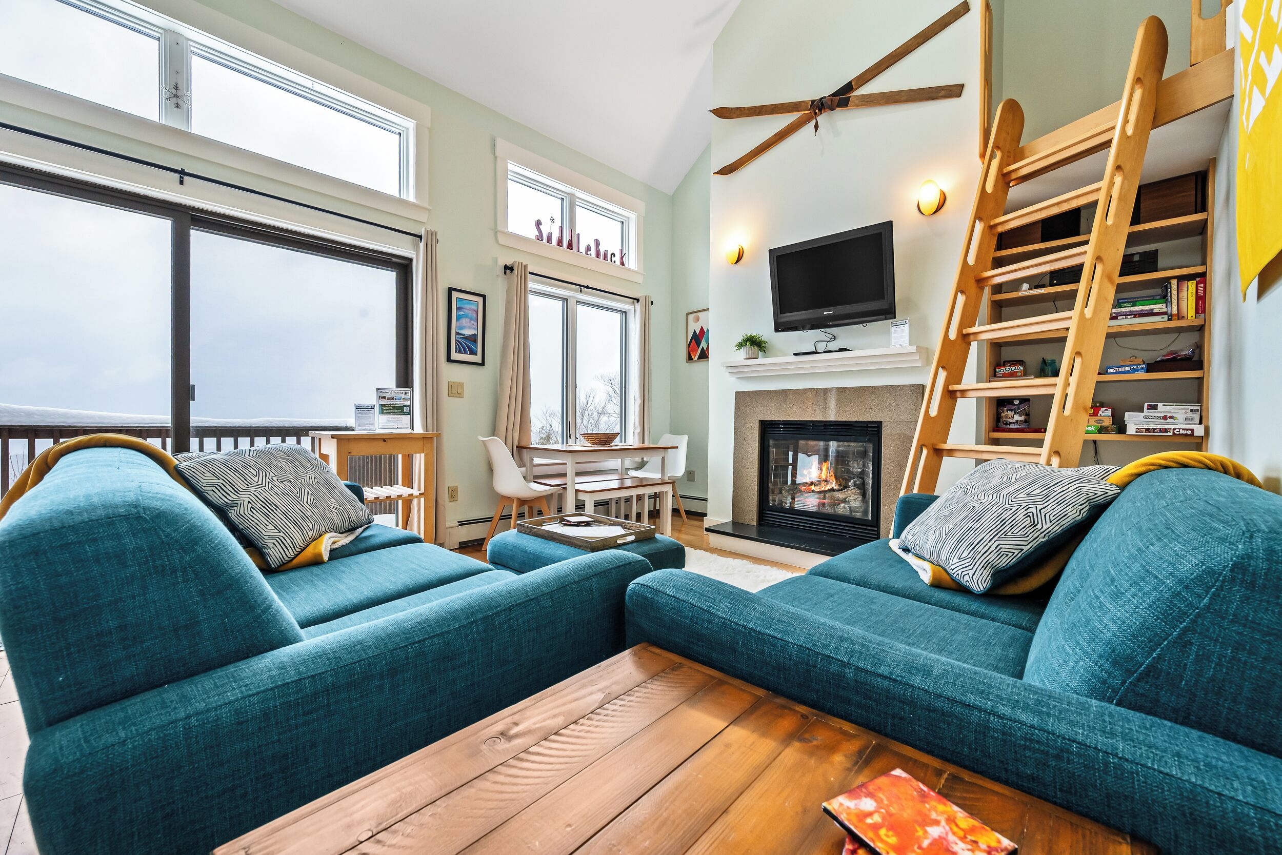 TV, fireplace, books, stereo