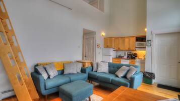 Télévision, cheminée, livres, chaßne hi-fi