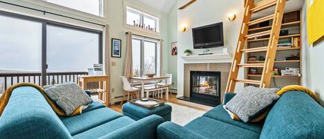 TV, fireplace, books, stereo