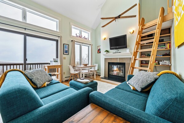 TV, fireplace, books, stereo