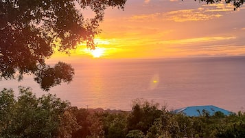 Vista desde la propiedad