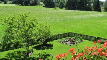 Zimmer, 2 Schlafzimmer, Raucher, Balkon | Garten