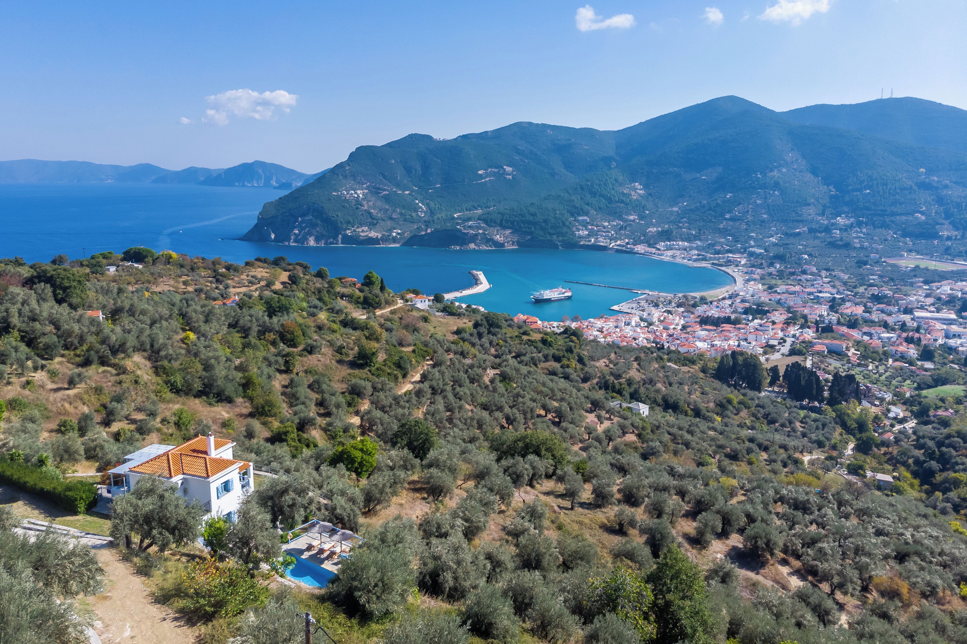A coastal town with a prominent body of water, a ship docked at a pier, and a house with a tiled roof surrounded by olive trees.