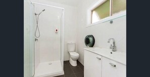 Shower, free toiletries, hair dryer, towels - Auto Lodge Motor Inn (Seymour)
