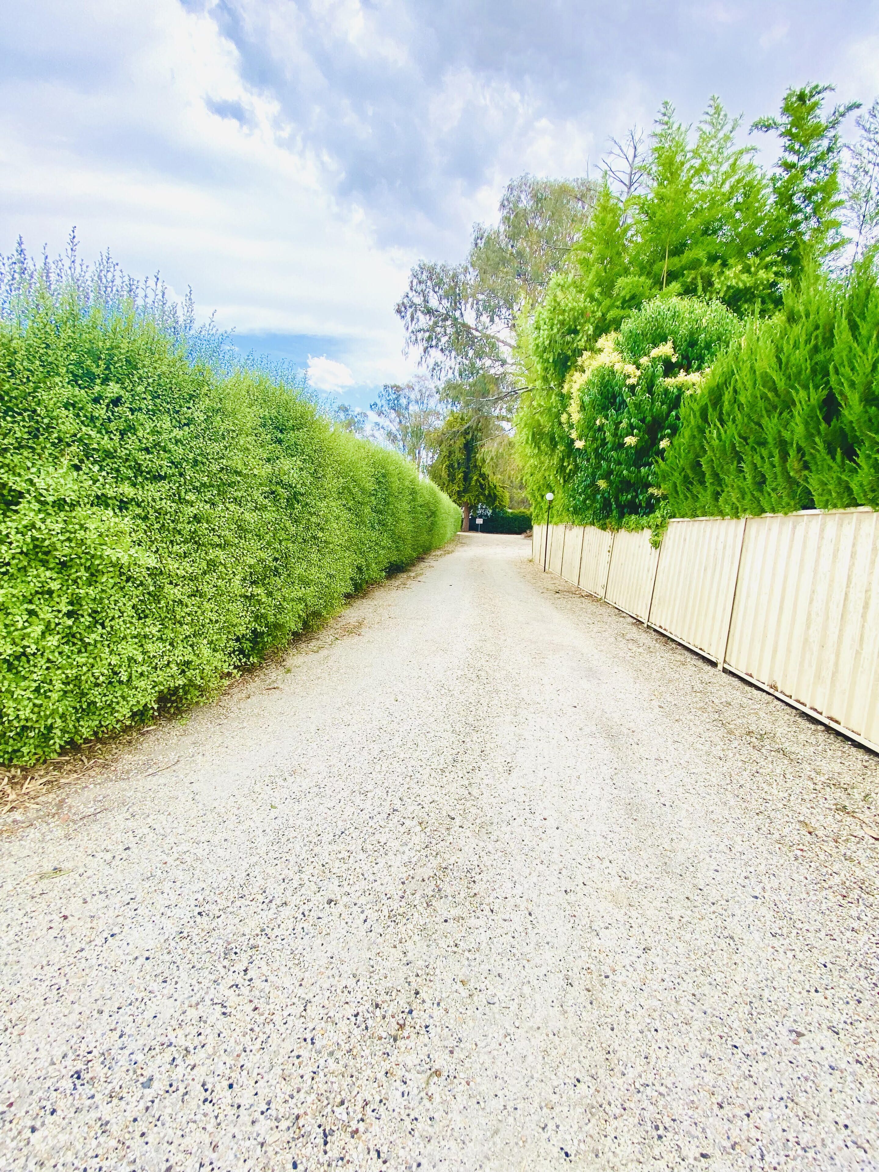 Un camino de grava bordeado por setos verdes y una valla de madera.