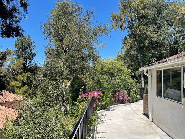 Un sendero conduce a un edificio con fachada de vidrio, rodeado de árboles frondosos y plantas en flor.