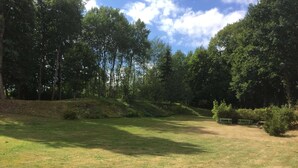 Un prato erboso con alberi e una panchina.