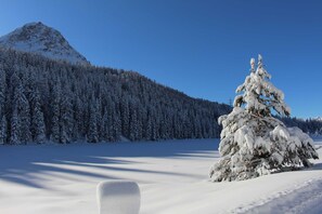 Luokittelematon kuva, 3 kautta 55, painike