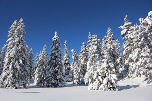 Unclassified image, 4 of 55, button