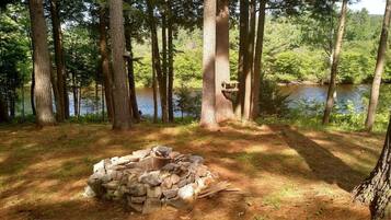 A forested area with a pile of rocks and a bird feeder on a tree.