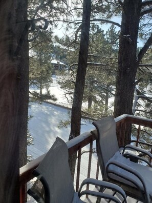Property grounds - Tree Top - Cozy, quiet, tiny 2nd-story, private condo for 1 or 2 (Angel Fire)