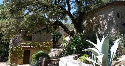 18th-century Provencal country house on the banks of the Argens river, set in 2 ha of land