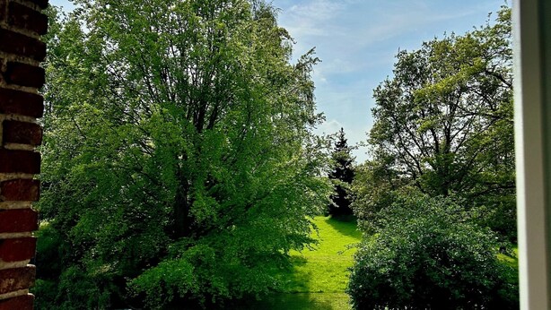 A view through a window of a garden with a brick wall on the left, a grassy area, and trees. - Chambre Bonheur (Romeries)