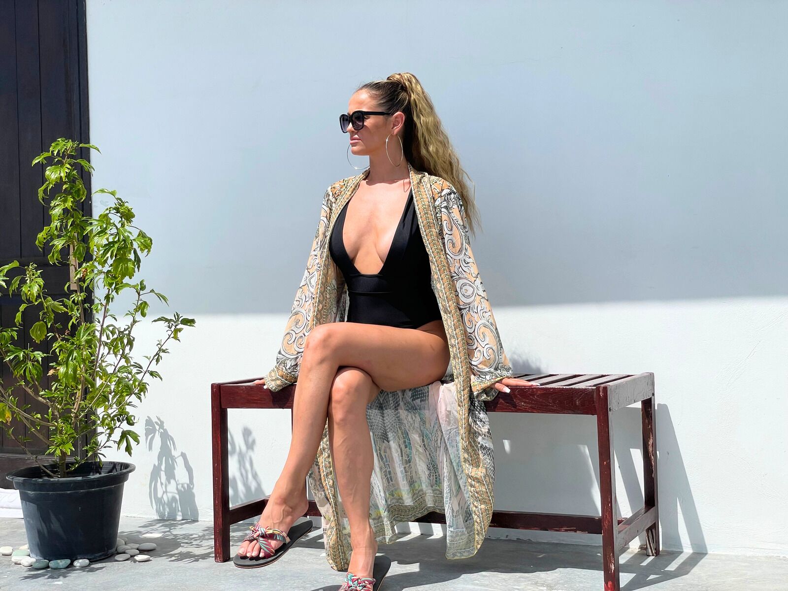 テラス / パティオ