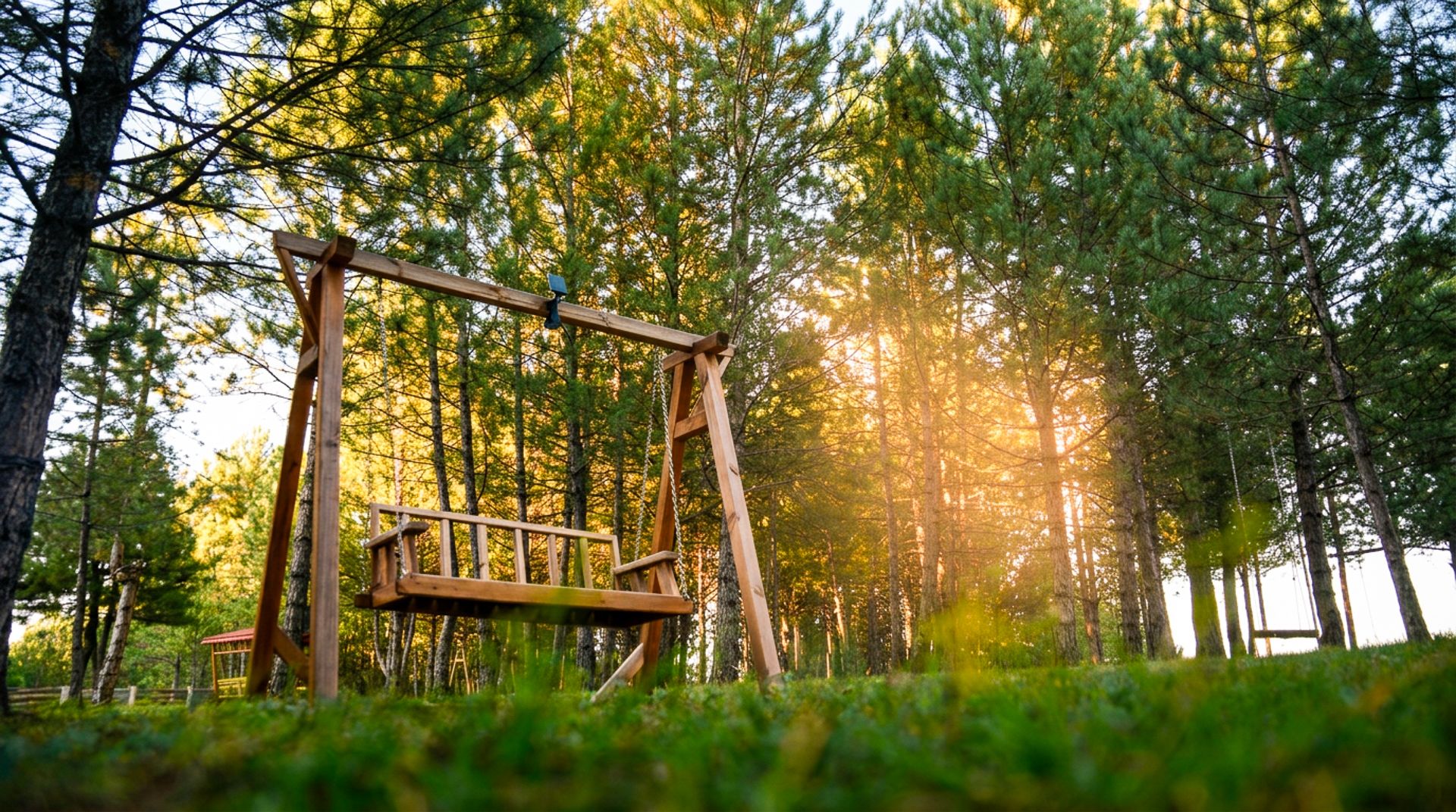 A wooden swing set in a forested area with sunlight filtering through the trees.