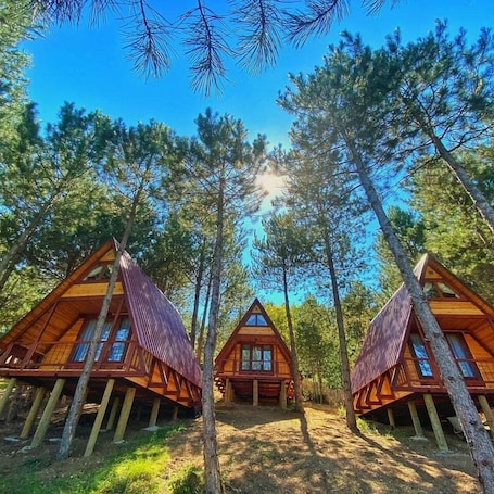 Comfort Tree House, Balcony, Mountain View. Fikri Atalay Konağı