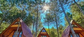 Fikri Atalay Konağı