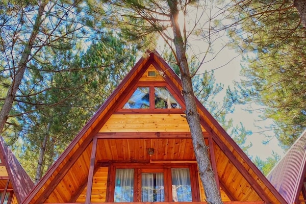 Comfort Tree House, Balcony, Mountain View