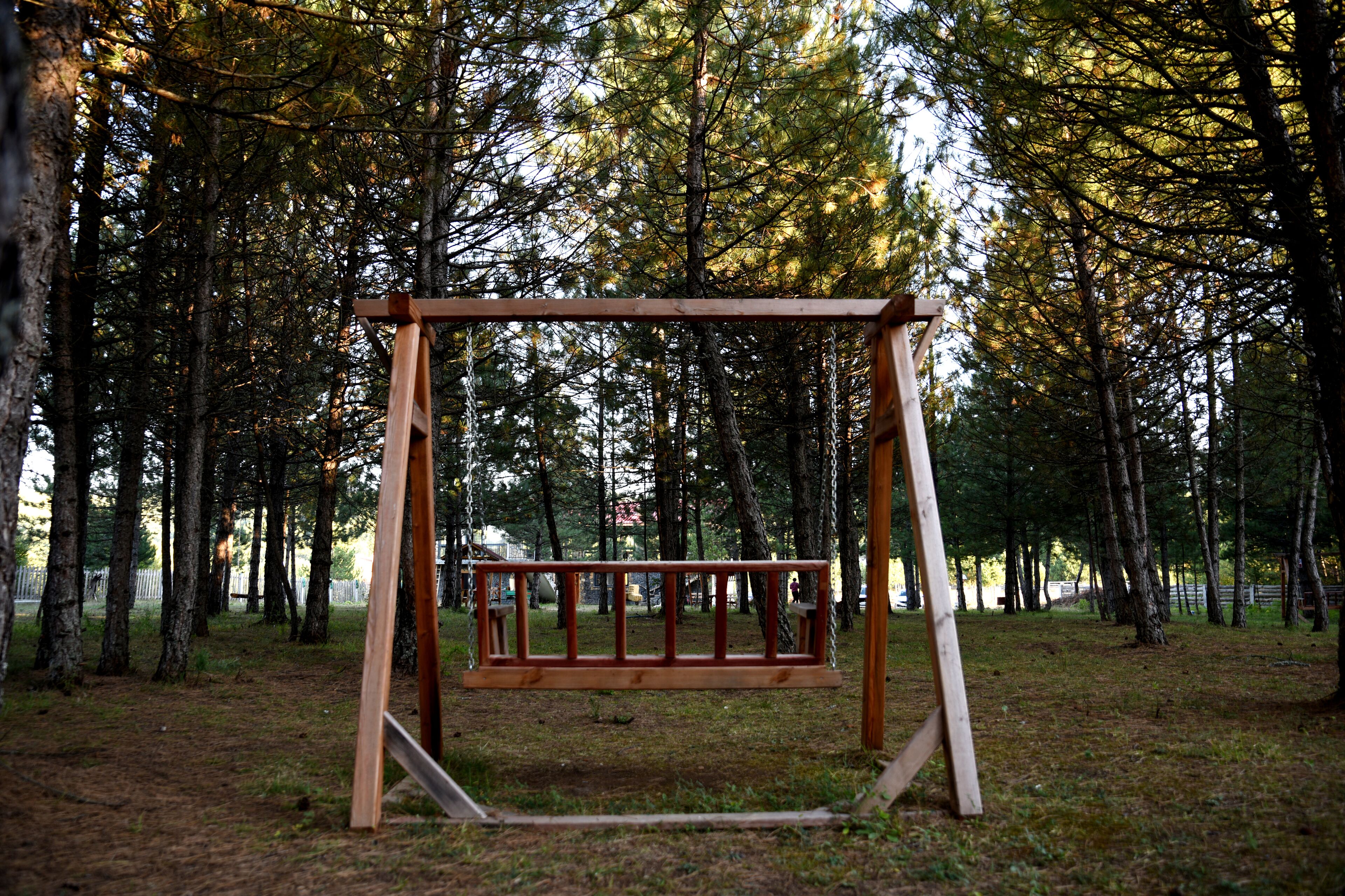 Un columpio de madera en un área boscosa.