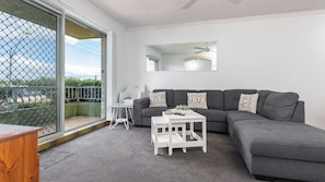 智能电视、DVD 播放器、书