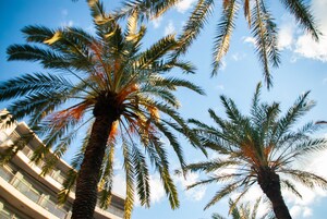 Εξωτερικοί χώροι