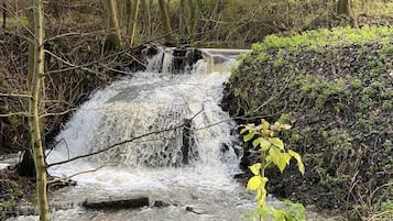 Overnatningsstedets område