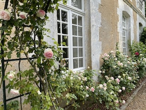 Exterior detail - 18th century castle (Saint-Luperce)