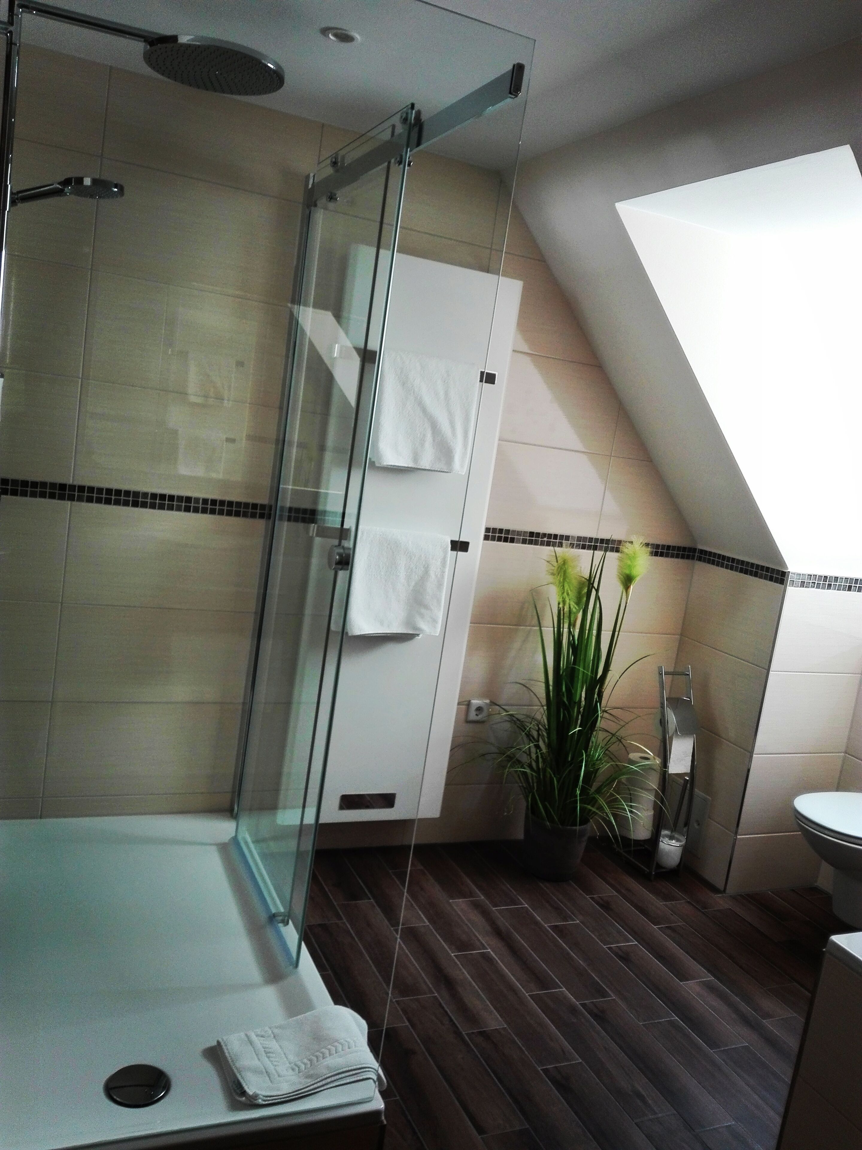 Un baño moderno con cabina de ducha de vidrio, una planta en maceta y un perchero para toallas.