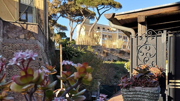 Un patio con muro de piedra, una planta en maceta y una reja metálica.