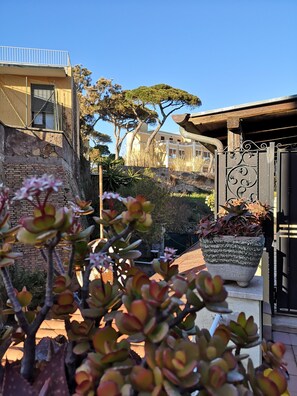 Property grounds - Moka House La CasAffittiera Apartments Group (Anzio)