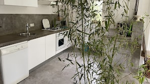 Eine moderne Küche mit weißen Schränken, einer Edelstahl-Spüle und einem Gasherd. In der Mitte stehen Bambuspflanzen und auf der Arbeitsfläche eine Keramikkanne.