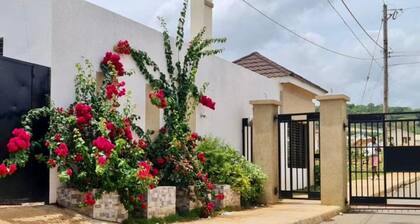 Vaetropicalparadise Free Puerto Seco Beach Access