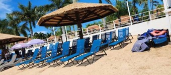 배트로피칼파라다이스 프리 푸에르토 세코 비치 악스