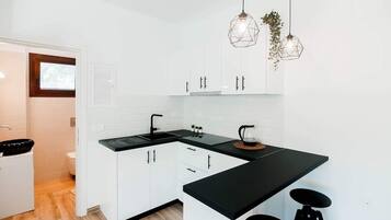 Deluxe Apartment | Private kitchen | Full-sized fridge, stovetop, coffee/tea maker, electric kettle