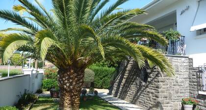 Spacious apartment in villa with large private garden and terrace near the sea