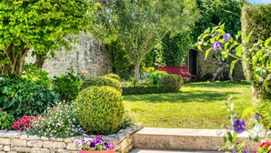 A garden with a stone wall, a red bench, and various plants.