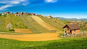 A vineyard with rows of grapevines, a small brick building, and houses on a hillside. - Chalet Birchwood With Hot Tub and Sauna (Breznički Hum)